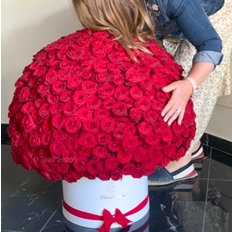 500 Red Roses FlorPassion Box