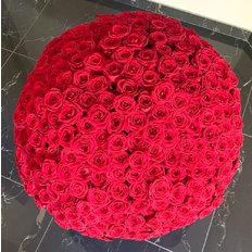 500 Rose Rosse FlorPassion Box