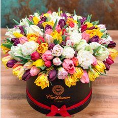 Amazing Tulips FlorPassion Box