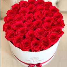 Scatola Rose Rosse Stabilizzate | Million Roses | FlorPassion Milano