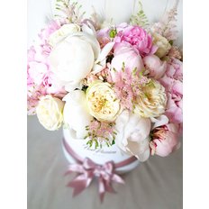 Beatrice FlorPassion Box