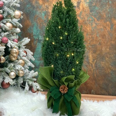 Christmas Natural Tree