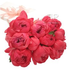 Flower Delivery Coral Peonies | Send Flowers to Milan and Monza