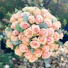 Light Pink Roses Bouquet | Same Day Roses Delivery