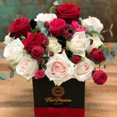 Luxury Garden Roses