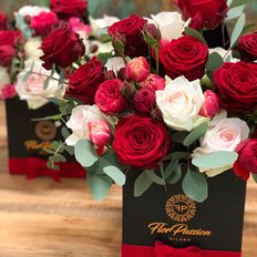 Luxury Garden Roses