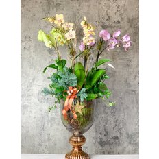 Magical Christmas Orchids
