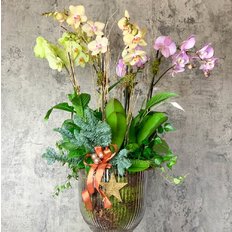 Luxury Orchids Arrangement | Send Flowers to Milan | Local Florist FlorPassion