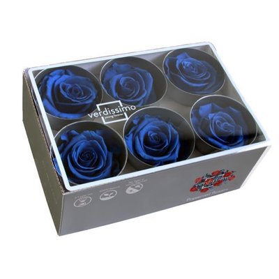Royal Blue Preserved Roses, 6pcs
