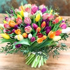 Mixed Tulips Flowers Delivery for Womans Day| FlorPassion Milan Best Local Florist