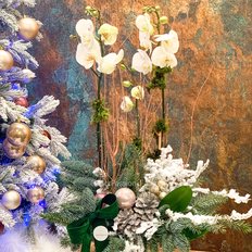 Sending Winter Flowers to Milan | Christmas Orchids FlorPassion