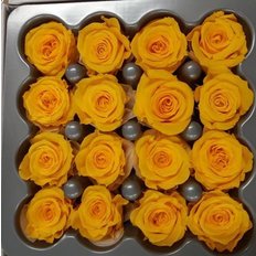 Yellow-Ochre Preserved Roses, 16pcs